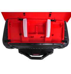 Vaikiškas elektromobilis PASSION 4x4, Raudonas